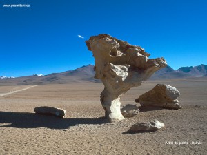 Arbol de piedra - Bolívie